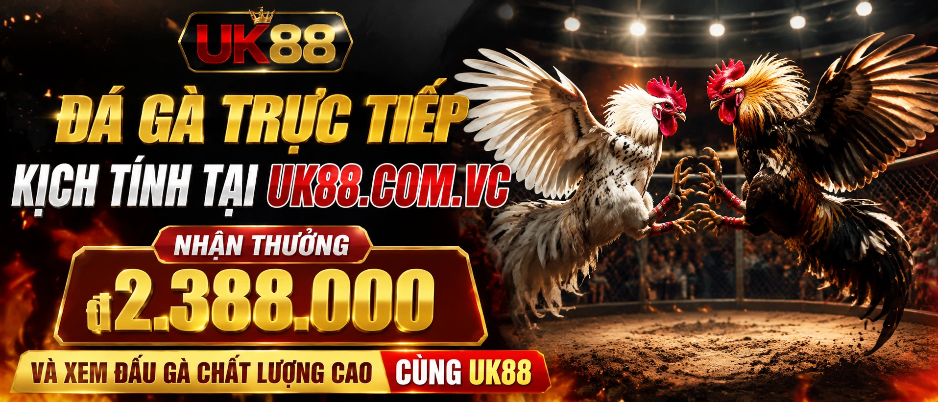 Mobile Đá Gà Giao diện Đá Gà trên mobile
