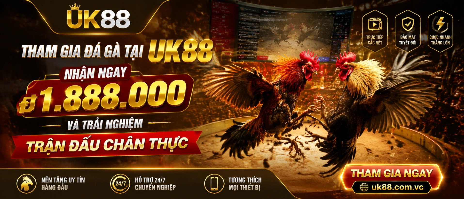 Đá Gà Trực Tiếp Đá Gà trực tiếp hiển thị phòng live